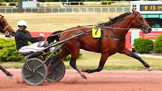 Les pronostics Quinté du 25/08/2026 à Deauville