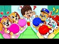 BREWING CUTE PREGNANT & CUTE BABY!!! - Funny Life Story - Paw Patrol Ultimate Rescue | Rainbow 3