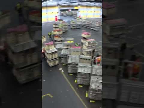 #Shorts Aalsmeer Flower Auction in Netherlands