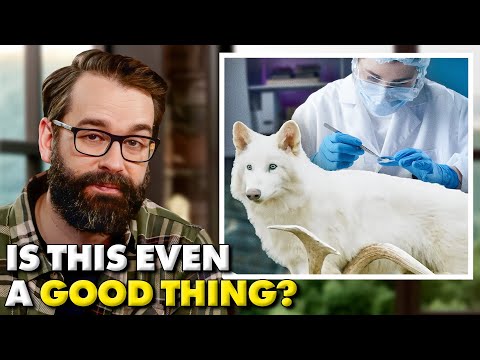 Thumbnail for Why Are Scientists Bringing Back Dire Wolves?!