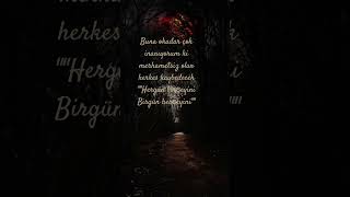 Gültence Hayat Sözler Sözler Sözler