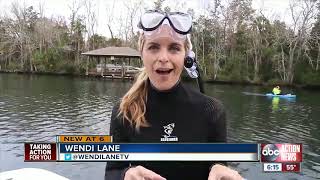 Famous Citrus County is the only place in the U.S. where you can swim with and touch manatees Wealth