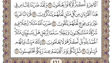 سورة الزمر مكتوبة   محمد أيوب