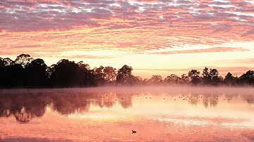 Field Recording (20251026) - Walka Water Works - Dawn Chorus