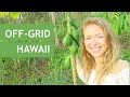 LIVING OFF THE LAND IN HAWAII 🍍 Off-Grid Permaculture Fruit Forest Mp3