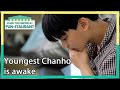 Youngest chanho is awake stars top recipe at funstaurant  ep1291  kbs world tv 220627