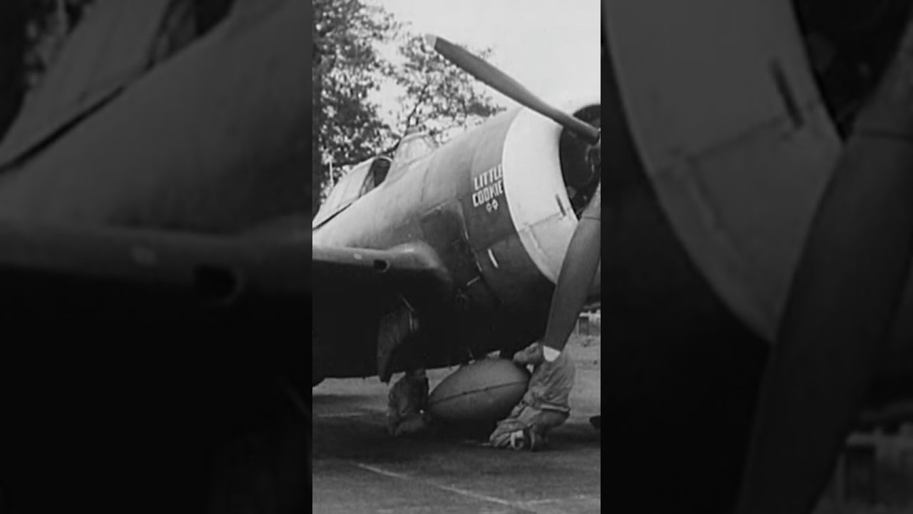 P-47 Thunderbolt | The Jug