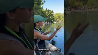 People of the Park: Volunteer Amber #shorts