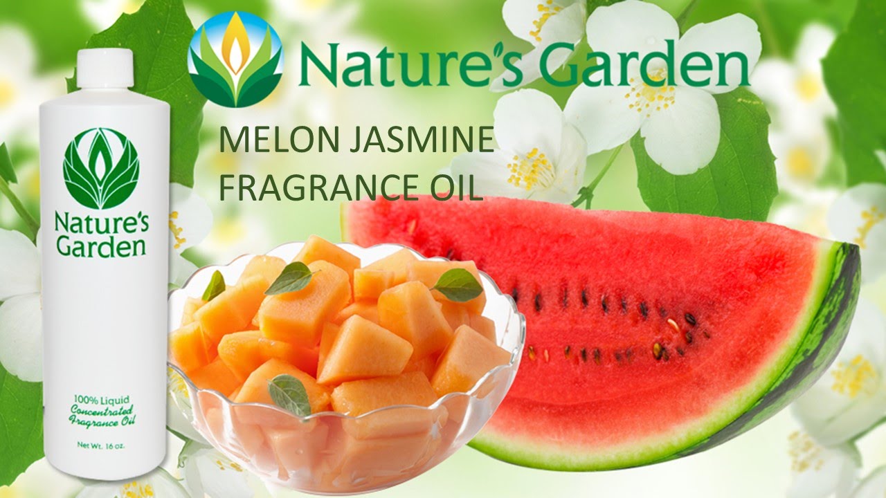 Melon Jasmine Fragrance Oil Natures Garden YouTube