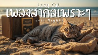 เพลงสากลเพราะๆ อัลบั้ม Soft Nights ตกหลุมรัก ละมุนใจ ฟังชิลๆ 🎧 Chill Pop  by Lazy Cat screenshot 5