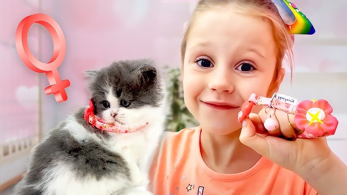 Секс духтари tojik видео