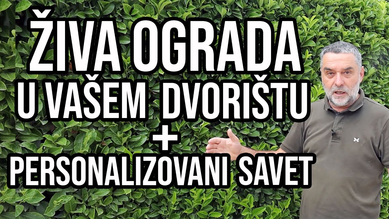 Živa ograda u vašem dvorištu + personalizovan savet