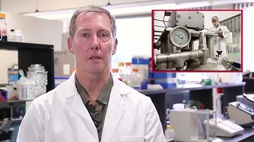 Microbial Growth in Food - Why Is Temperature Important?