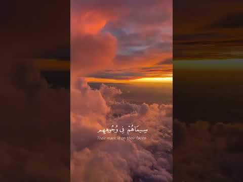 القائد الموفق هو الذى يشعر من حوله بانهم معه وليس وراءه رقة قلوبنا على بعضنا تعلمناها من مدرسة محمد