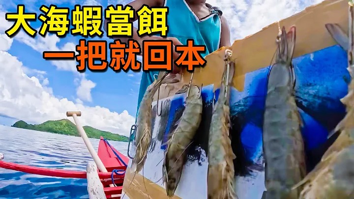 小臂长的大海虾和活鲈鱼当诱饵，本以为要赔死，没想到一条鱼获直接回本！ - 天天要闻