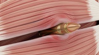 What Happens Inside the Body When a Bullet Hits? | 3D Medical Breakdown The Science of Bullet Impact