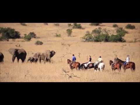 Borana 2016 Film Final Cut