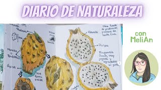 Diario de Naturaleza con MeliAn Ciencia Creativa