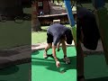 Hard hats should be required on some putt putt courses.