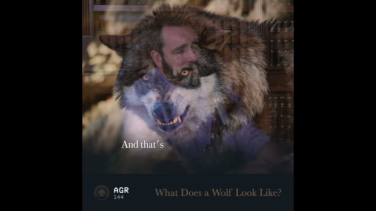 What Does a Wolf Look Like? #Church #Faith