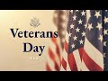 Veterans Day - November 11, 2020.