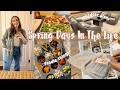 Spring ALMOST is Here | Garden Plants, DIY Snack Boards &amp; Dinner