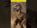 ไดโนเสาร์สัตว์โลกดึกดำบรรพ์ล้านปีที่พบในดินแดนไทย #ฟังดิ #ไดโนเสาร์ #dinosaur #สัตว์โลกล้านปี