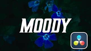 Struggling with the Moody Film Look? Watch This!