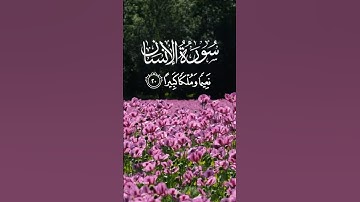 ﴿ وَإِذَا رَأَيْتَ ثَمَّ رَأَيْتَ نَعِيمًا﴾القارئ إسلام صبحي 🌺#quran  #اكسبلور #explore #islam #