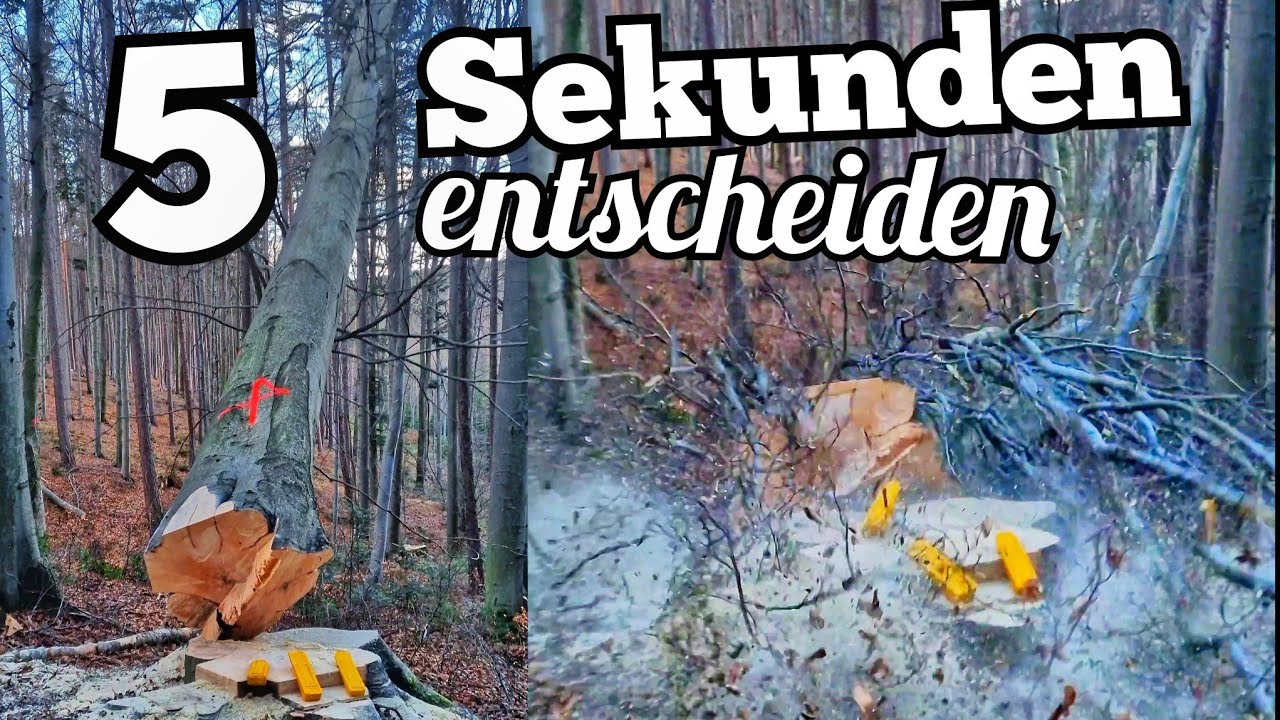 Die Holzfäller Pfuscher