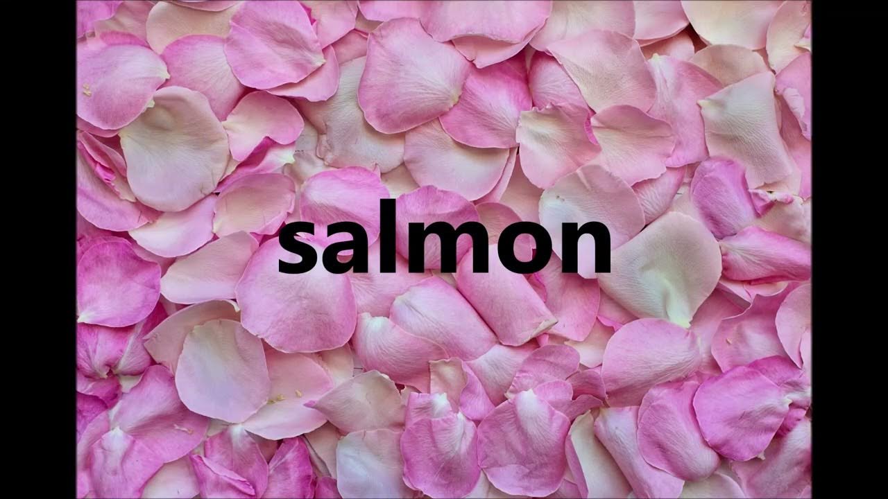 How to pronounce salmon? YouTube