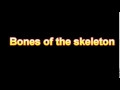 What Is The Definition Of Bones of the skeleton Medical Dictionary Free Online