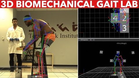 YOU’VE NEVER SEEN THIS BEFORE!! 3D Biomechanical Gait Lab