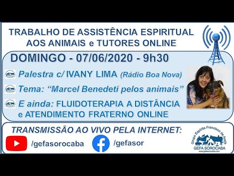 Assista: Trabalho de Assistência Espiritual aos Animais ONLINE - c/ IVANY LIMA (07/06/2020)