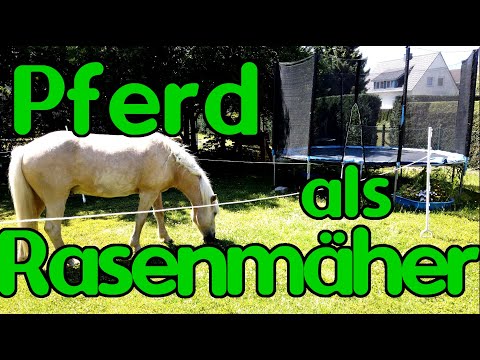 Video: Pferdegärten