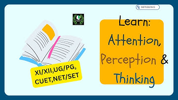 Attention, Perception, Thinking I Cognitive Psychology Basics