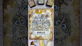 @UnityStampCompany Hooray from the whole pack!