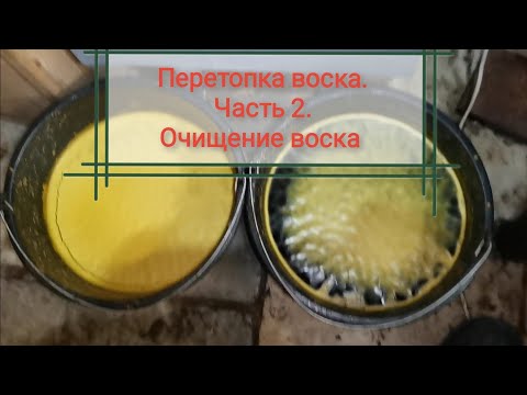 Видео: Фалшива бременност при кучета: симптоми, лечение и последствия