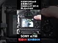 カメラのレスポンスを4メーカーで比べてみた #short SONY NIKON CANON Panasonic|写真撮る人鈴木遥介