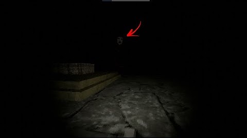 chơi cầu trượt ở giữa rừng thực sự vui