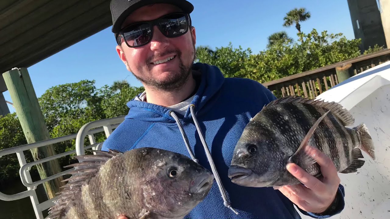 Sheepshead Fish Are Biting In Daytona Beach December 2020 YouTube