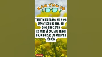 Câu Đố Vui Nhộn 3: Thử Thách Tư Duy Logic Của Bạn p61 | Cao Thủ IQ #funny #dovui #giaitri #haihuoc