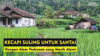 Download Lagu Keindahan Suara Kecapi Suling yang Merdu dan Menyentuh Hati | Petualangan Alam Desaku MP3