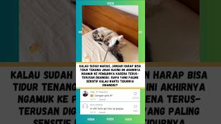 Download Lagu ANAK KUCING MARAH BESAR KARENA TERUS DIGANGGU SAAT MAU TIDUR! MP3