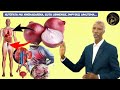 🧅ONYO: DORE INDWARA NYINSHI IZAKUVURA IGIHE UZAYIGABURIRA UMURYANGO WAWE By NZUNGU