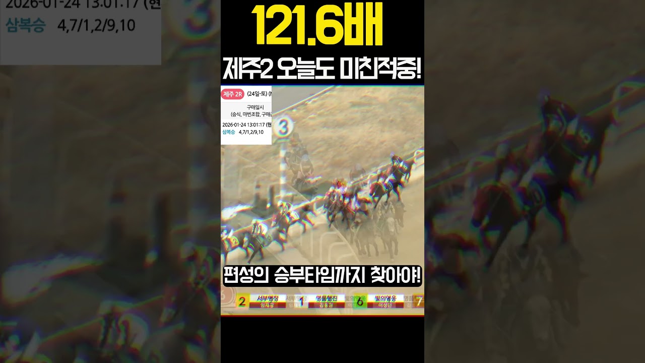 121.6배 오늘도 노빠꾸의 미친적중은 계속 된다. | 260124(토)제주2 | #경마 #경마재택크 #경마적중 #shorts #경마방송  #KoreaHorseRacing #쇼츠