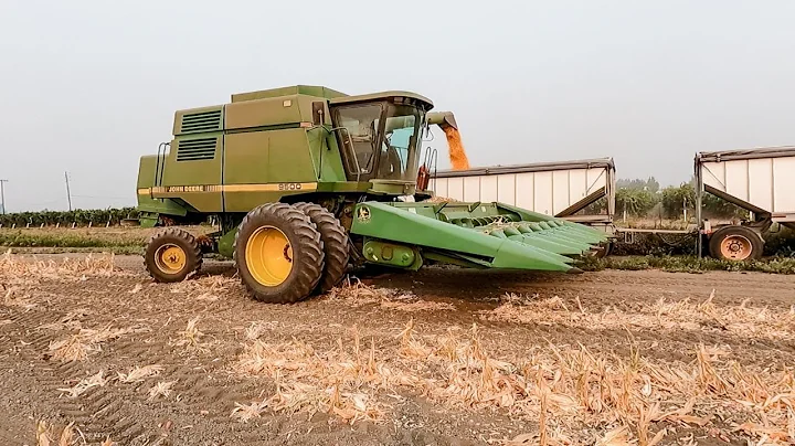 CORN HARVEST 2020 Day 1