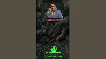 first legendary jump scare #fallout4