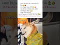 “Galti Ho Gayi 😭🤦‍♂️ |  #FunnyVideo#memes#popular#funnymemes#tweetreel#“Galti Ho Gayi