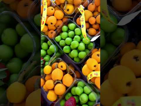 Video: Sitruspuiden hedelmien ohentaminen - Sitruspuun hedelmien ohentaminen
